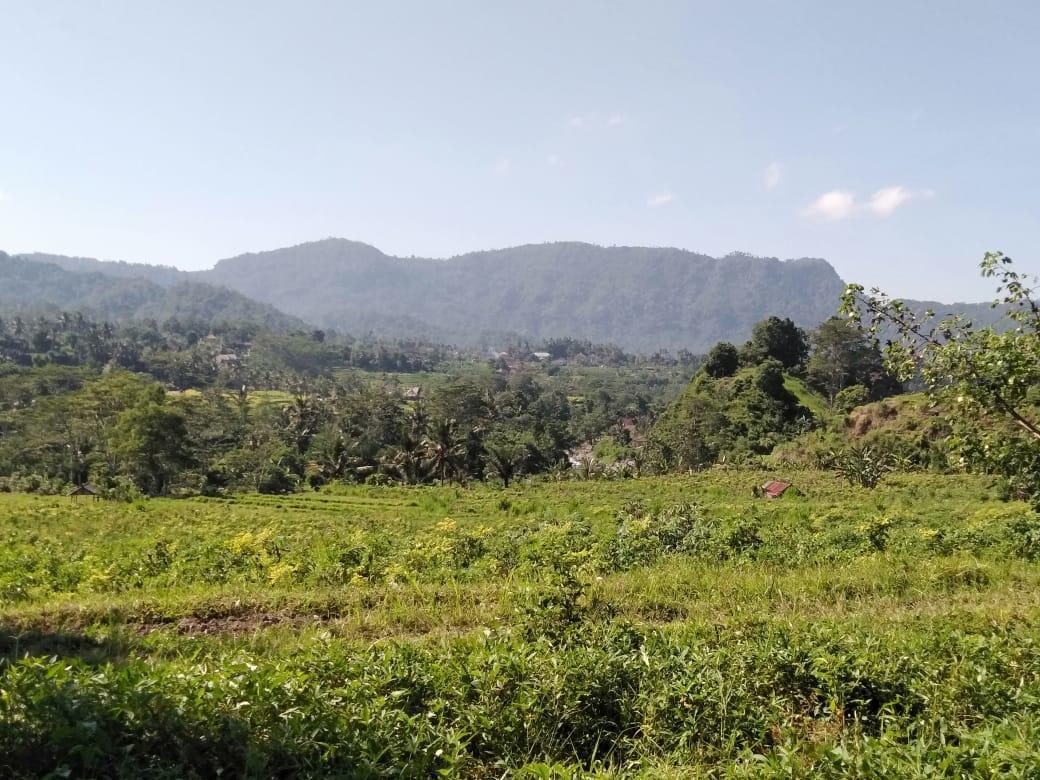 Pondok Indah Homestay Sidemen  Esterno foto