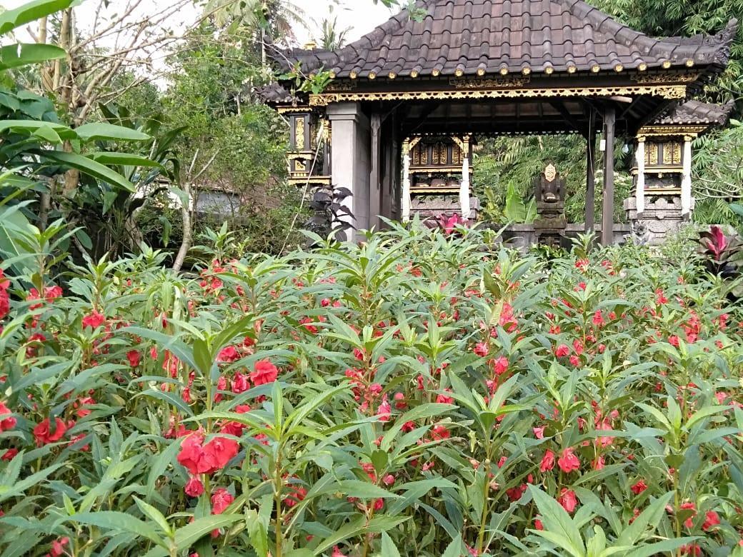 Pondok Indah Homestay Sidemen  Esterno foto