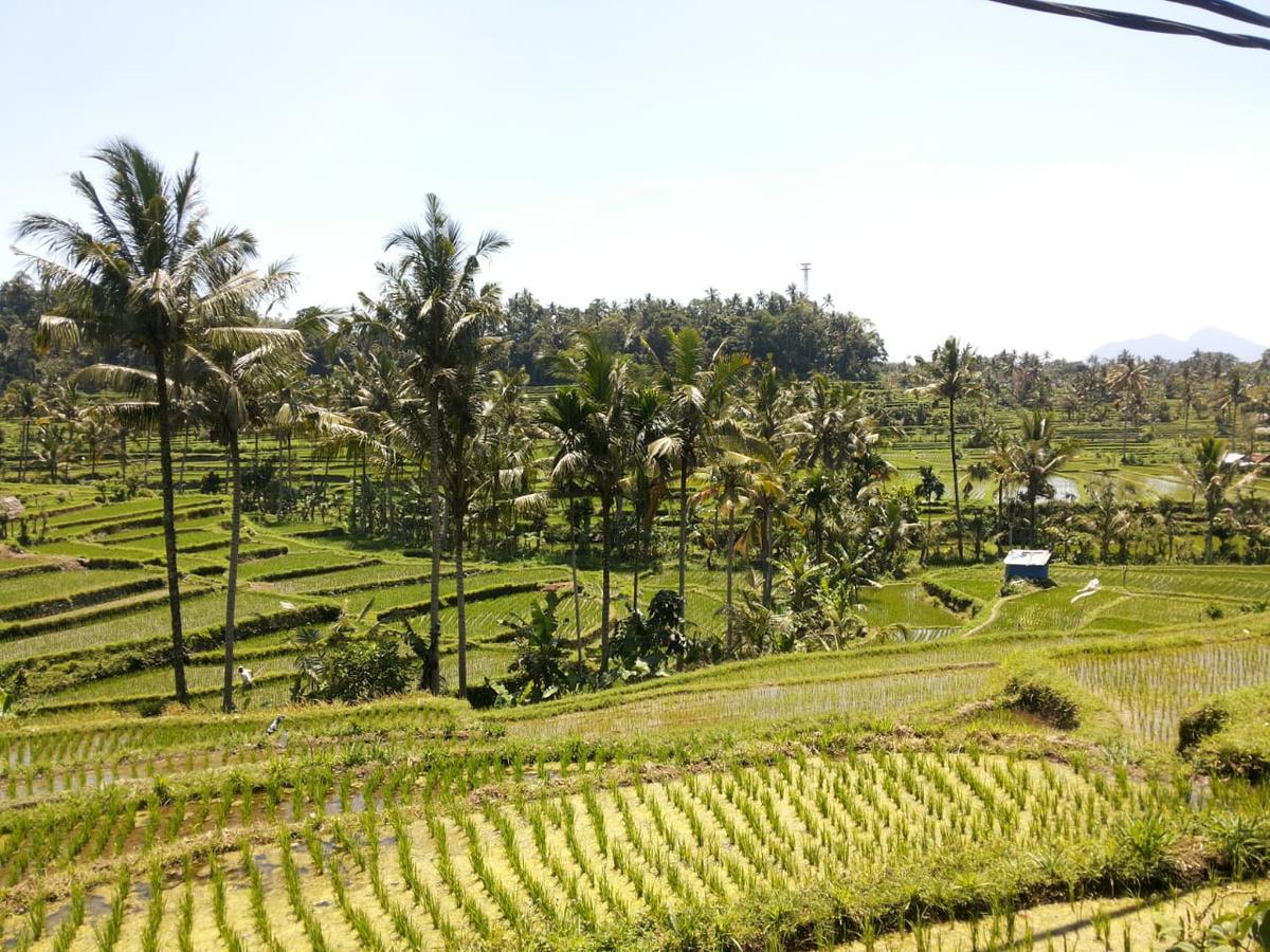Pondok Indah Homestay Sidemen  Esterno foto