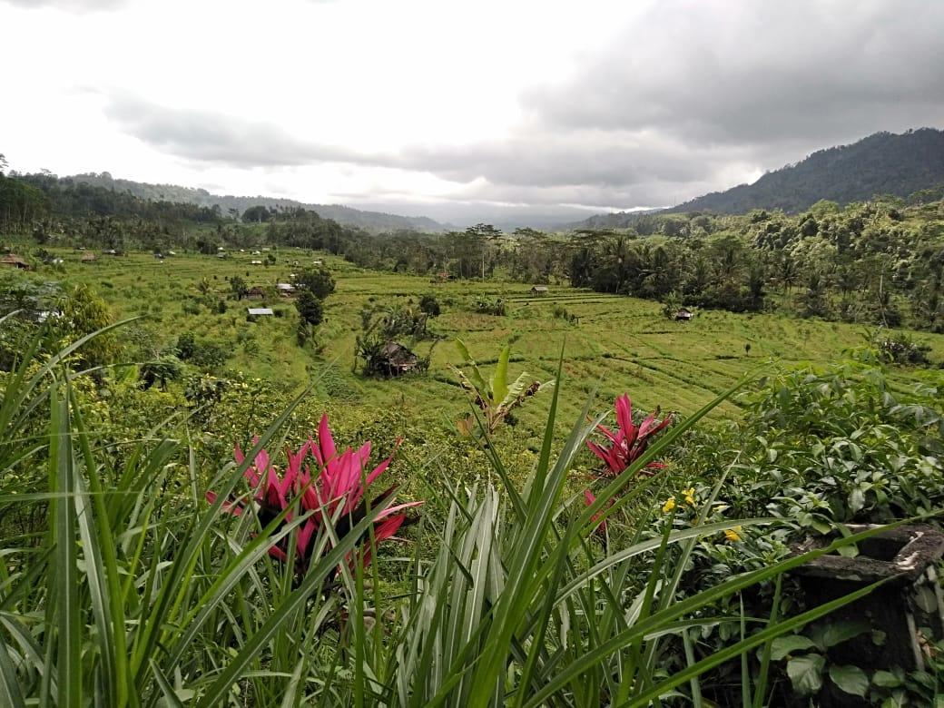 Pondok Indah Homestay Sidemen  Esterno foto